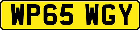 WP65WGY