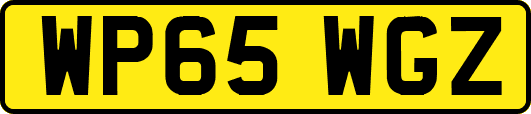 WP65WGZ