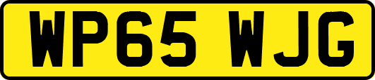 WP65WJG