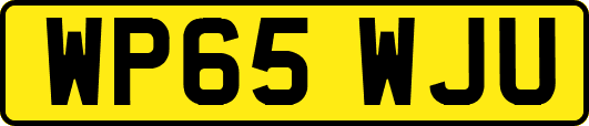 WP65WJU