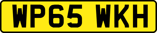 WP65WKH