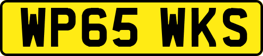 WP65WKS