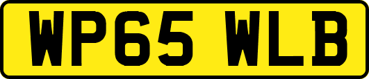 WP65WLB