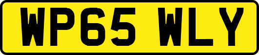WP65WLY