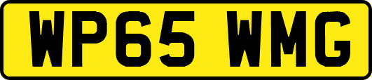 WP65WMG