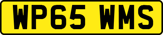 WP65WMS