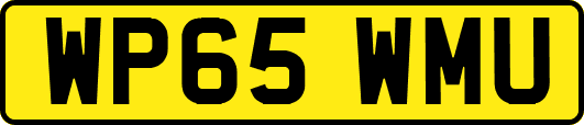 WP65WMU