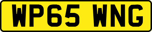 WP65WNG