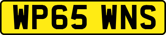 WP65WNS