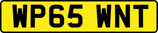 WP65WNT