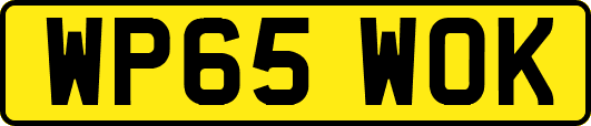 WP65WOK