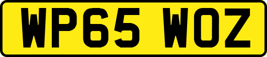 WP65WOZ