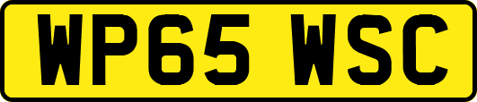 WP65WSC