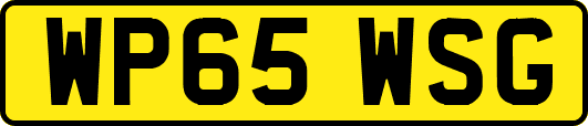 WP65WSG