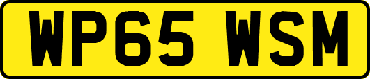 WP65WSM