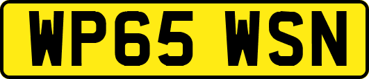 WP65WSN