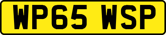 WP65WSP
