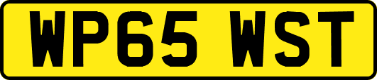 WP65WST
