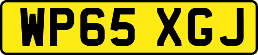 WP65XGJ