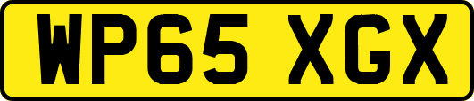 WP65XGX