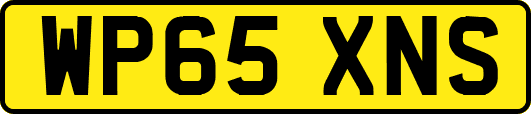WP65XNS