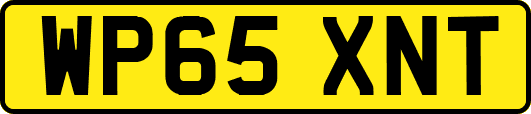 WP65XNT