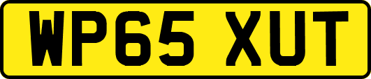 WP65XUT