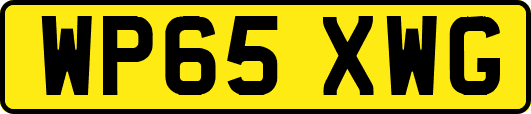 WP65XWG