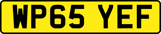 WP65YEF