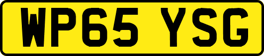 WP65YSG