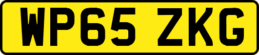 WP65ZKG