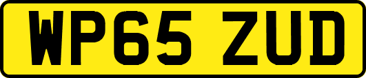 WP65ZUD