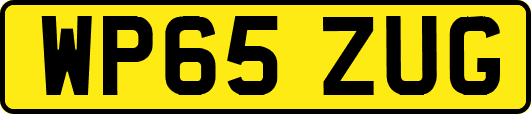 WP65ZUG