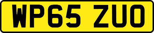 WP65ZUO