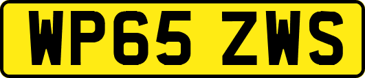 WP65ZWS