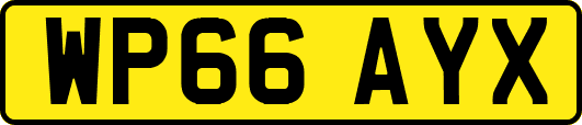 WP66AYX