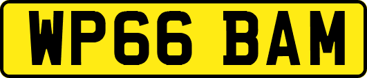 WP66BAM