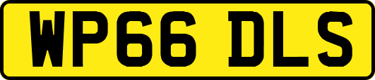 WP66DLS