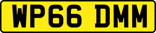 WP66DMM