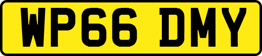 WP66DMY