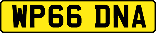 WP66DNA