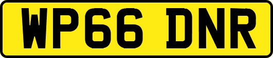 WP66DNR