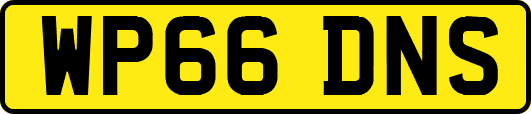 WP66DNS