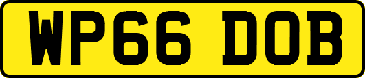 WP66DOB