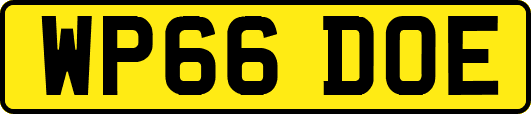 WP66DOE