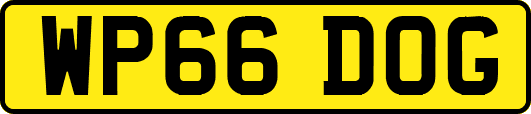 WP66DOG