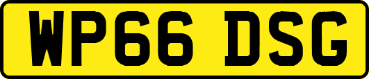 WP66DSG