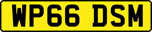 WP66DSM