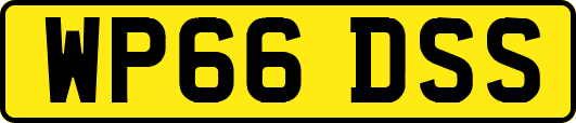 WP66DSS