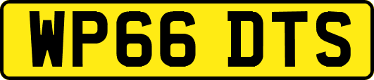 WP66DTS